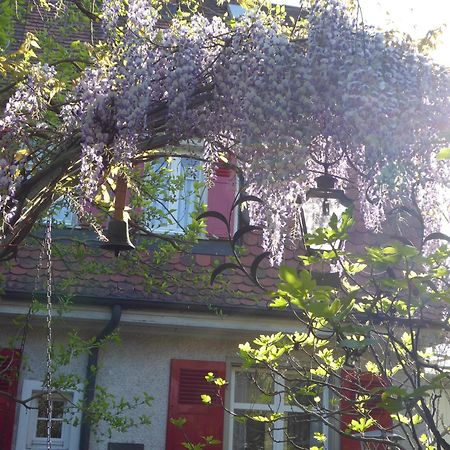 Pension Zur Rose Вайль-на-Рейні Екстер'єр фото